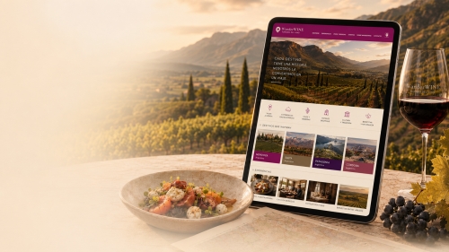 Nueva web de WanderWINE | Viajes de vino a medida
