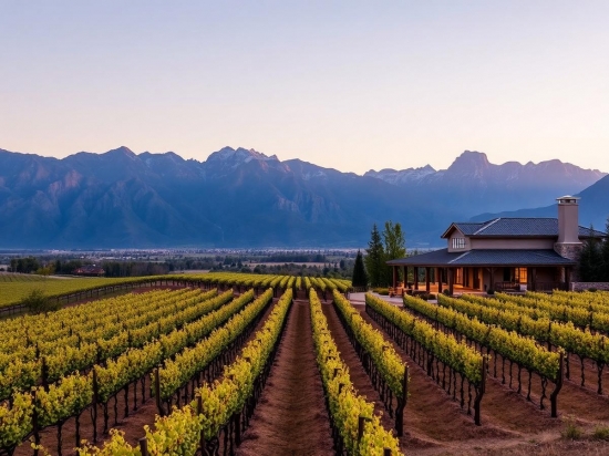 Mendoza con criterio: c�mo elegir bodegas, zonas y experiencias